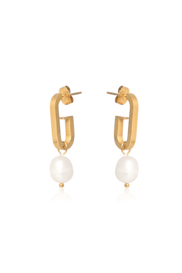 Dangle Dream Earrings