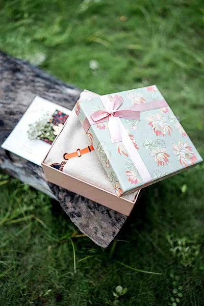 Equestrian Charm Pashmina Gift Box with Horse Motif Scarf