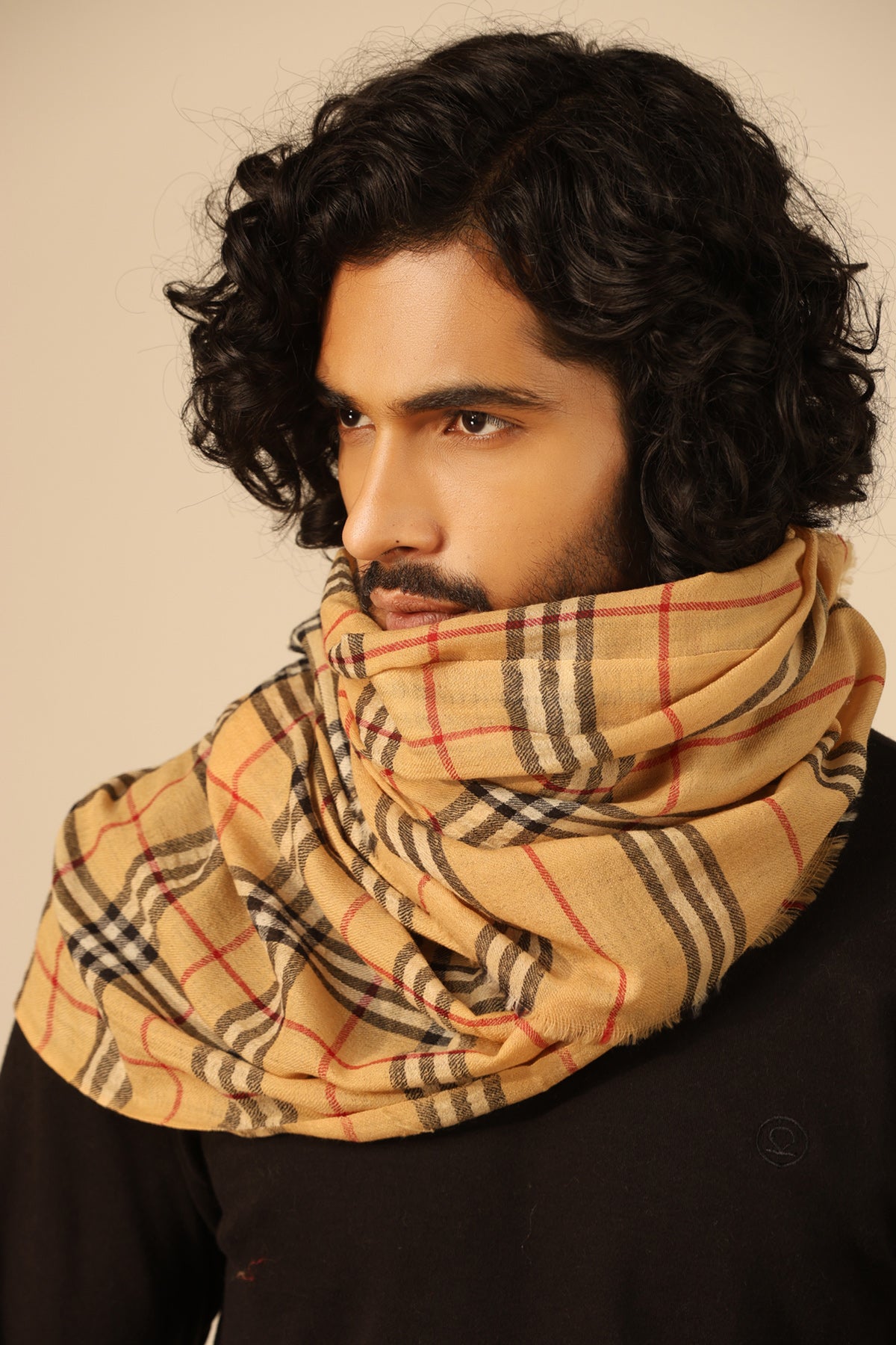 -  Dhruv  Cashmere Stole