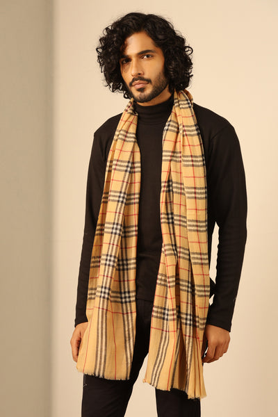 -  Dhruv  Cashmere Stole