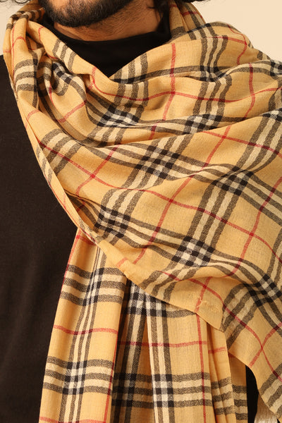 -  Dhruv  Cashmere Stole