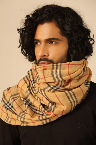 -  Dhruv  Cashmere Stole