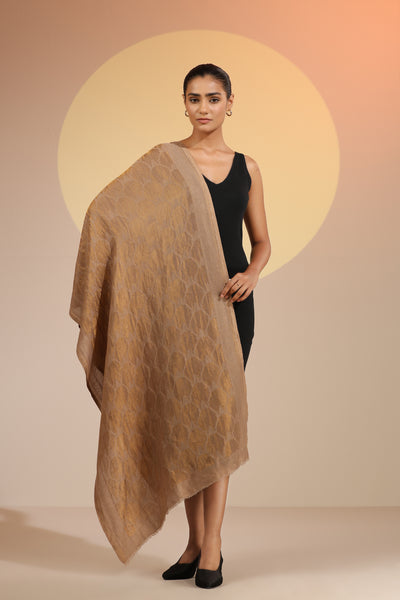 Ashti Dusala Cashmere Fine Wool Stole