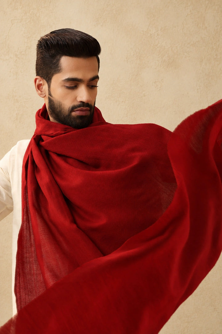 Cohen Pashmina Shawl for Men