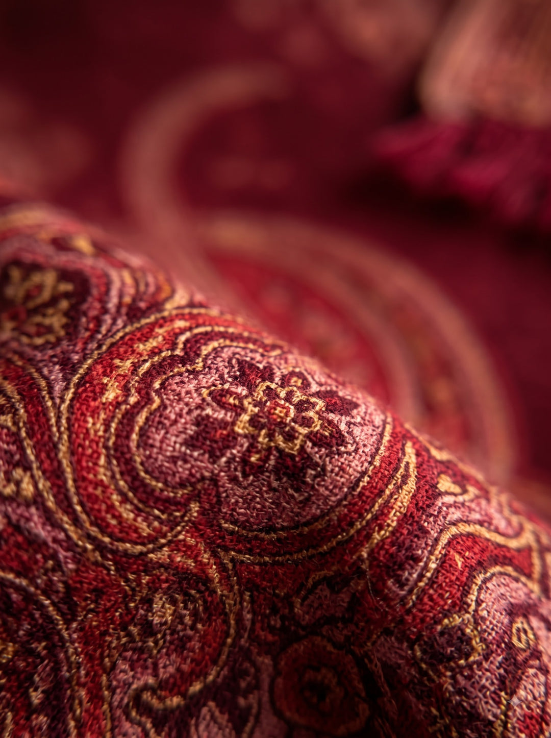 Red Multicolour Jamawar Stole with Woven Paisley Design