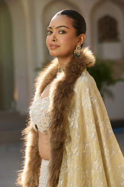 -  Pashmina Fur Border Stole