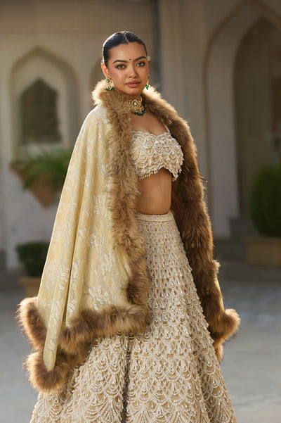 -  Pashmina Fur Border Stole