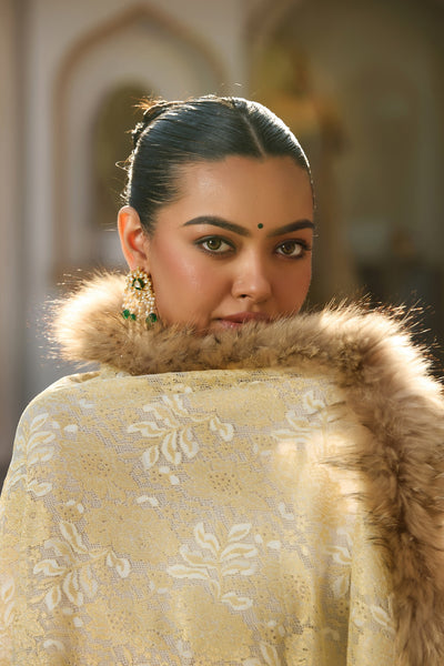 -  Pashmina Fur Border Stole