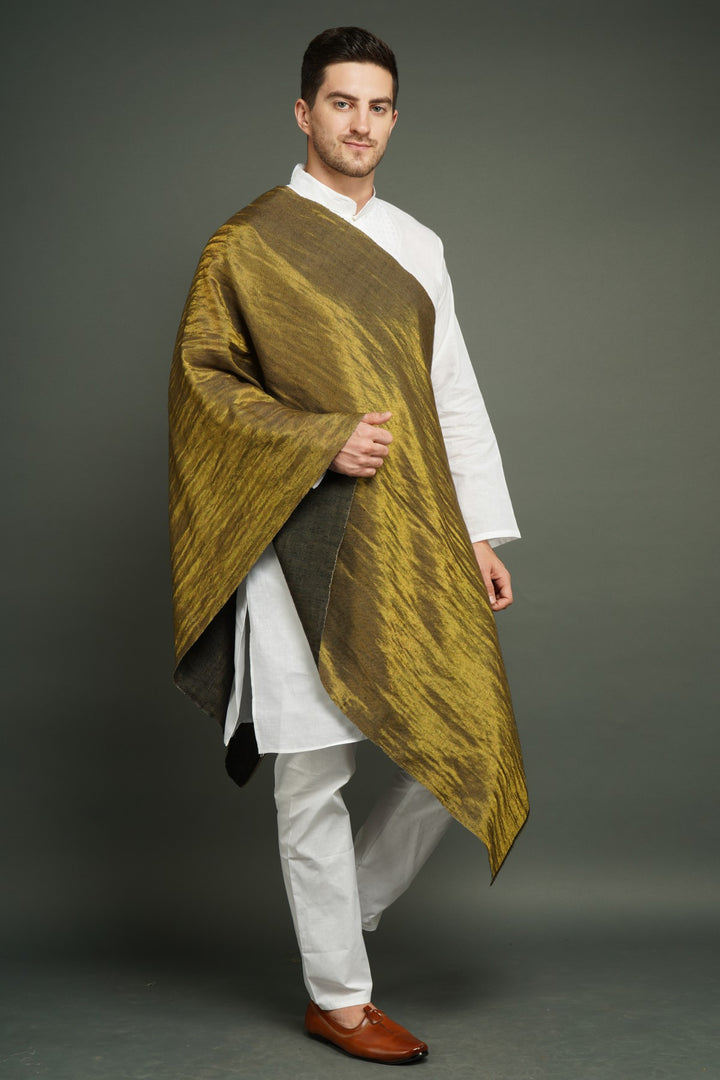 Pashmina Handwoven In Reversible Zari Work Stole for Men