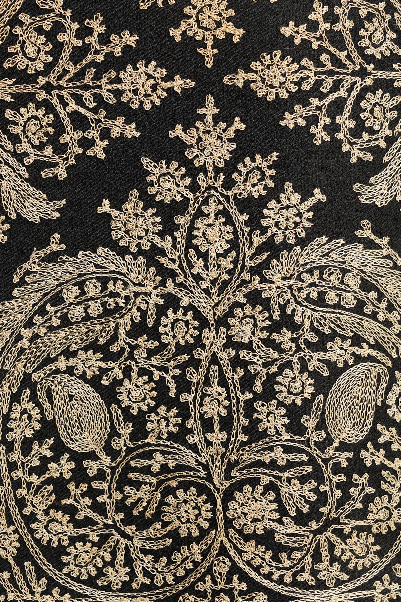 -  Aarya Babbar in Pashmina Resham Aari Thread Work