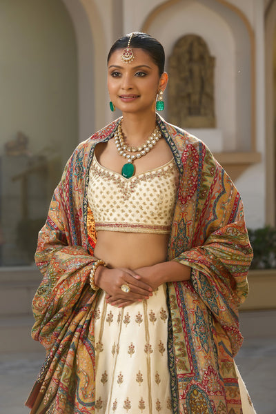 -  Godavari Pashmina Shawl