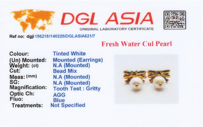 Bow Charm Dang Earrings