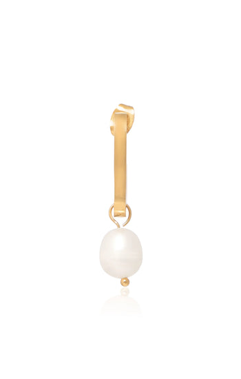 Dangle Dream Earrings