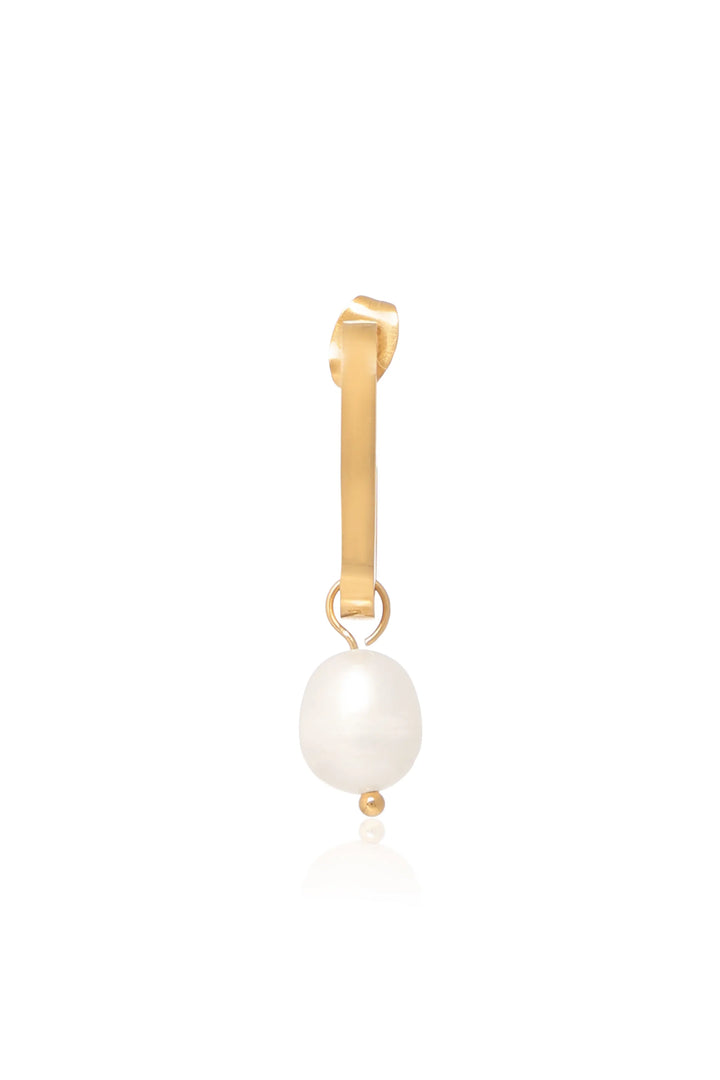 Dangle Dream Earrings