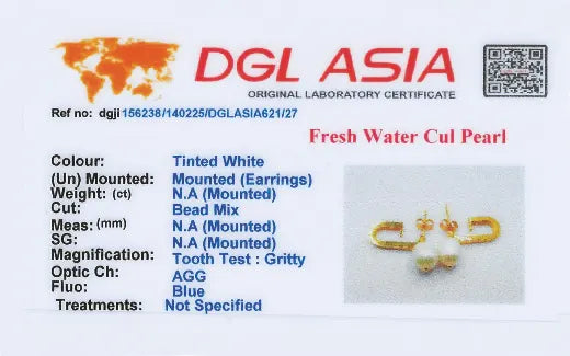 Dangle Dream Earrings