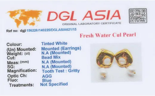 Square Chic Earrings