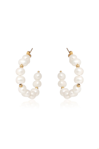 Irregular  Beauty Earrings