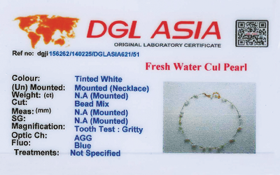 -  Pearl Elegance Chain Pendant