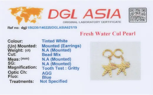 Ocean Star Earrings