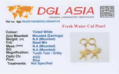 -  Ocean Star Earrings