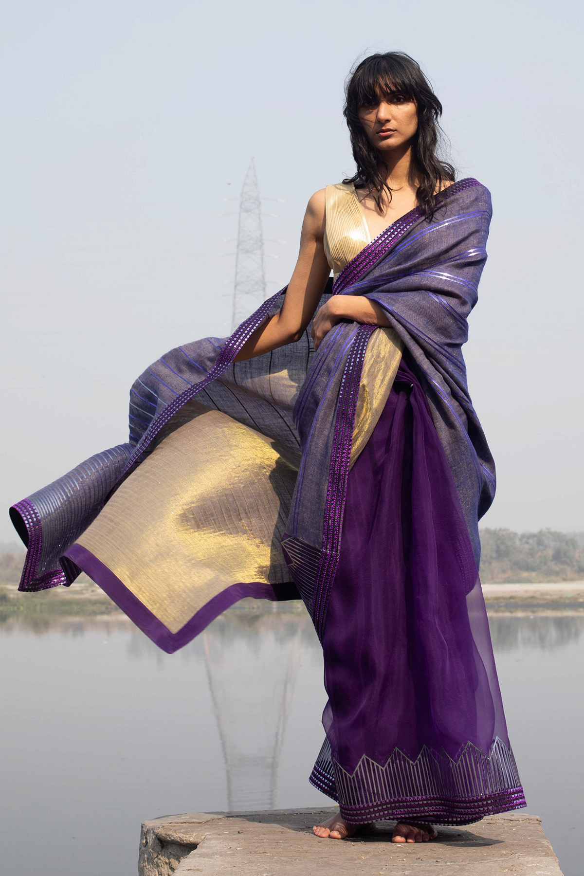 -  Pashmina Metallic Handwoven Zari Saree by Amit Agarwal