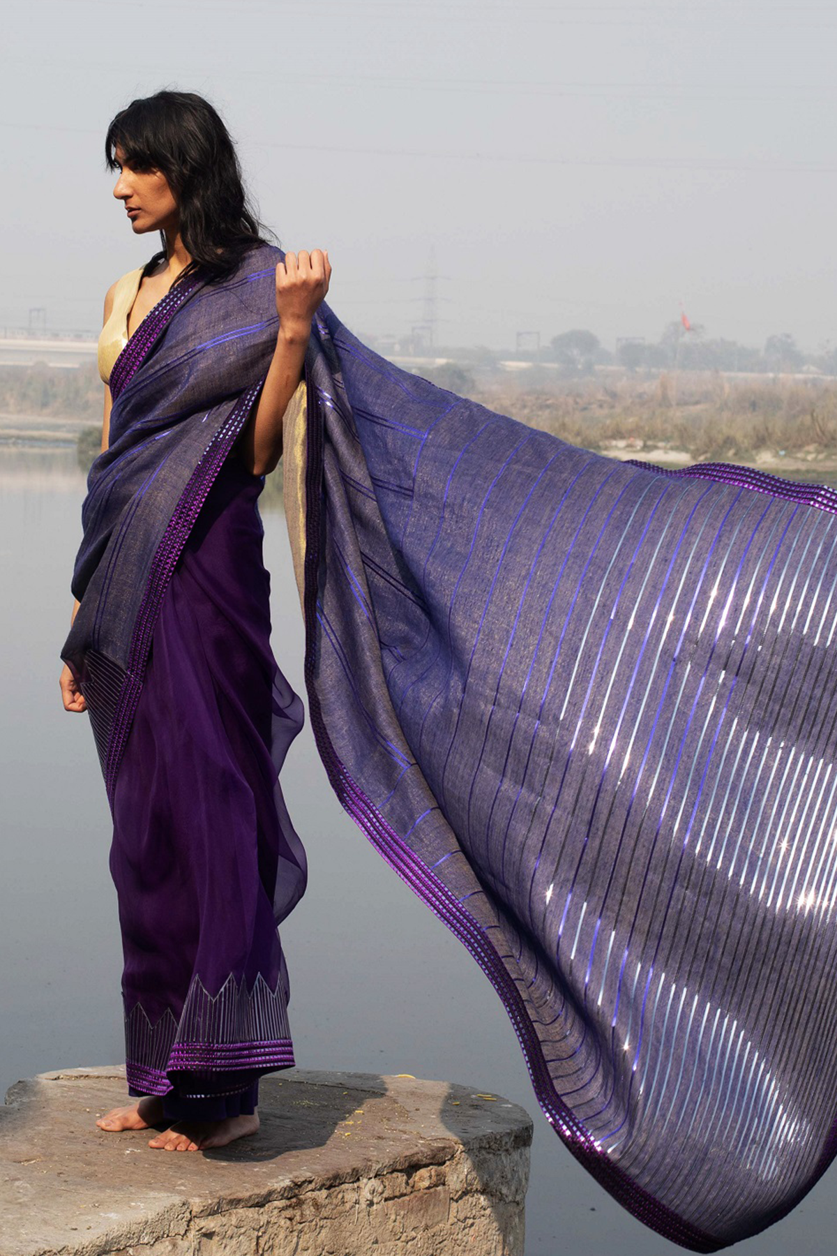 -  Pashmina Metallic Handwoven Zari Saree by Amit Agarwal