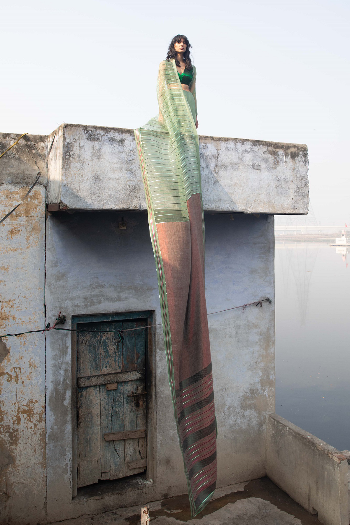 -  Pashmina Metallic Handwoven Saree by Amit Agarwal