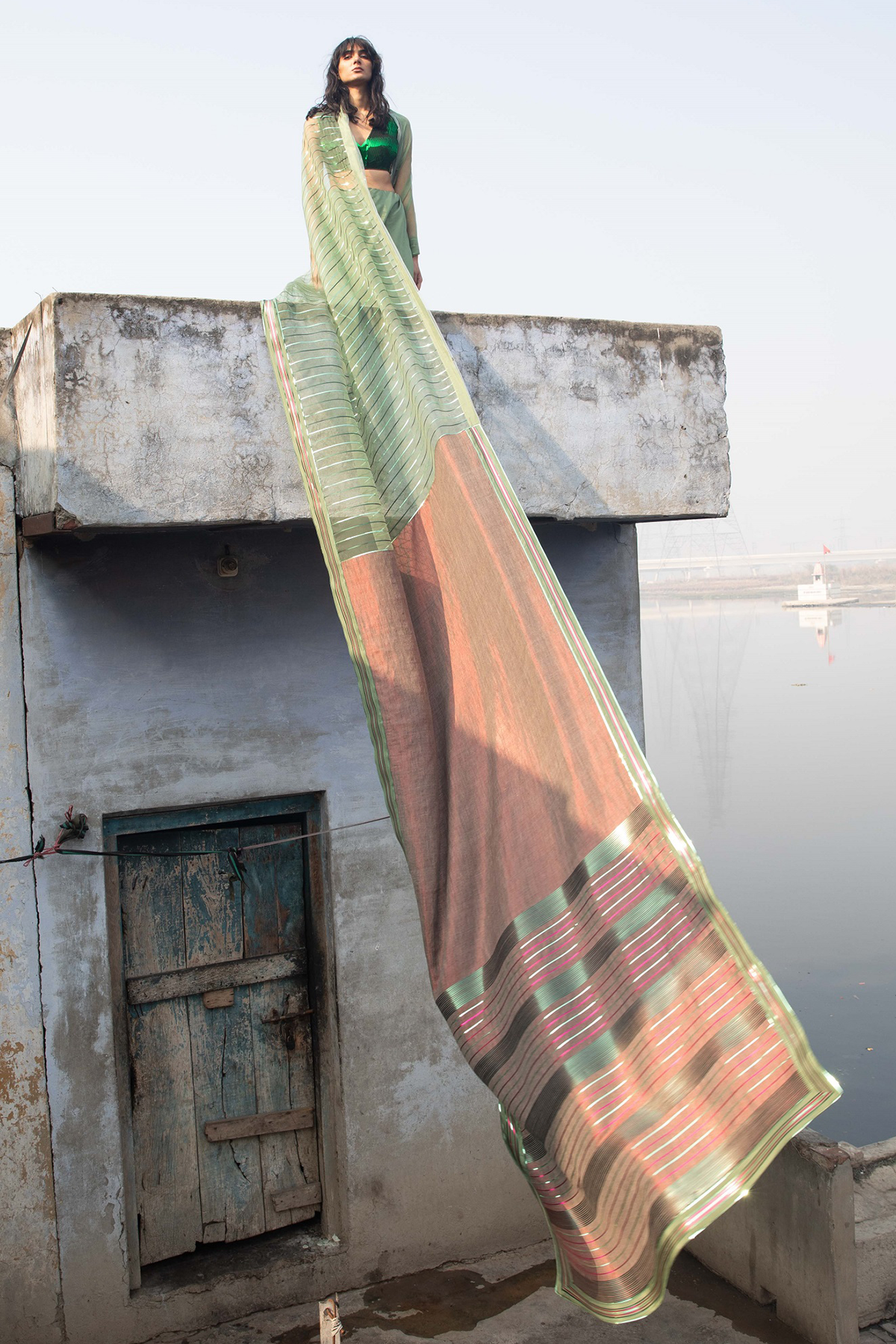 -  Pashmina Metallic Handwoven Saree by Amit Agarwal