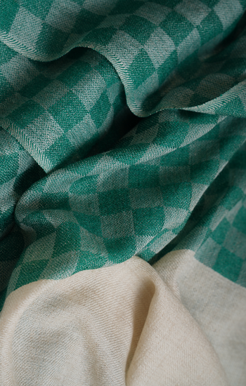 Marina Zlenko In Checkered Green Stole