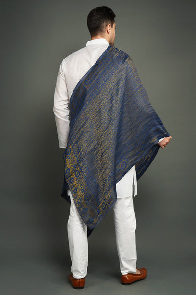 -  Pashmina Blend In Zari Work