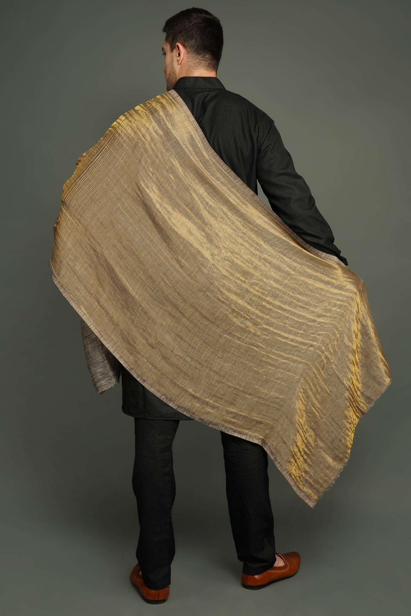 Pashmina Stole With Reversible Sari Design