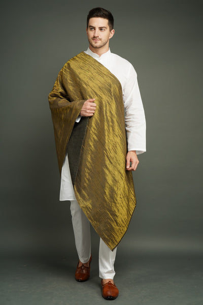 -  Pashmina Handwoven In Reversible Zari Work