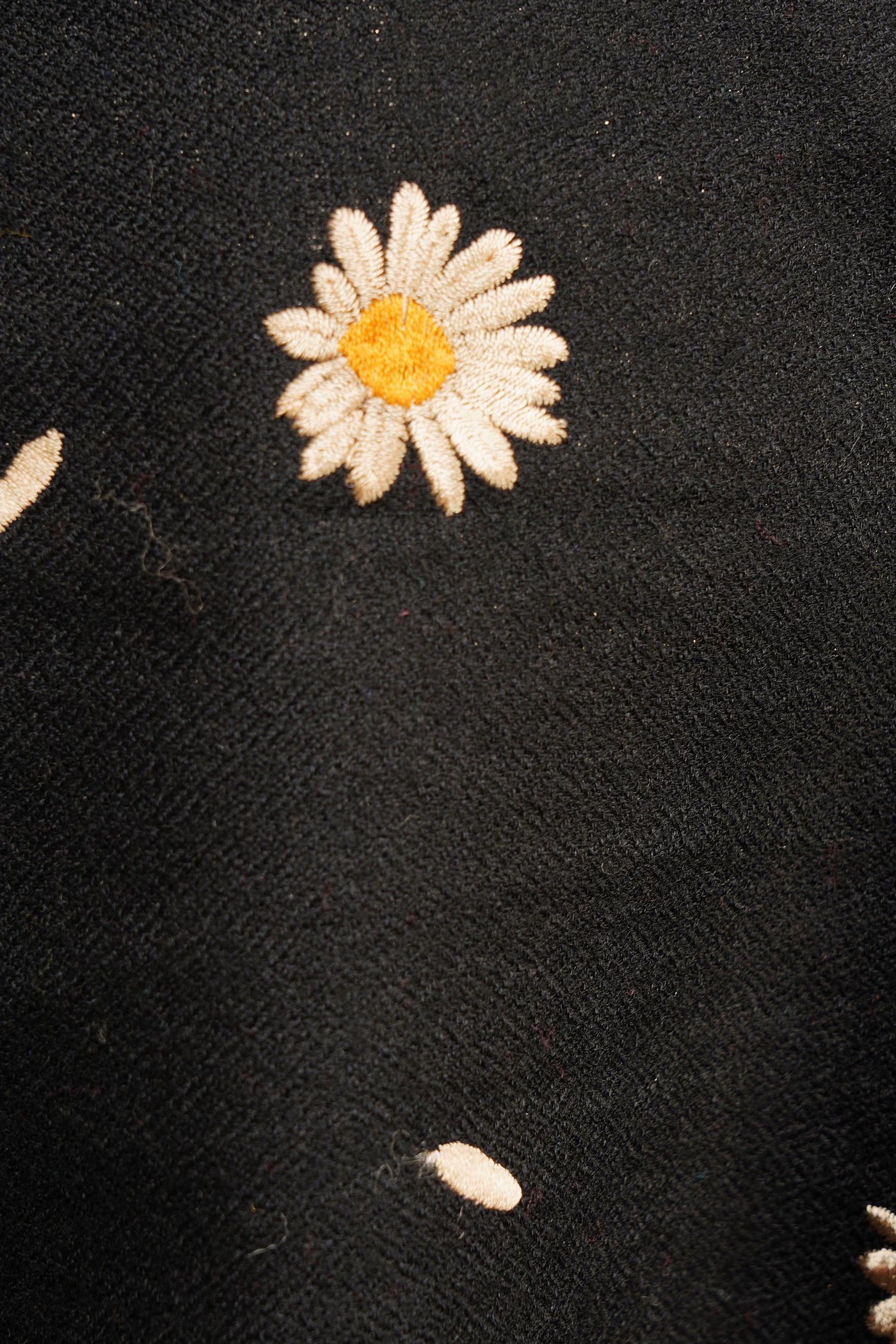 Cashmere With Hand Embroidry Flowers Stole