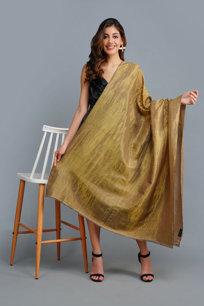 -  Golden Beige Reversible Handwoven Zari Shawl